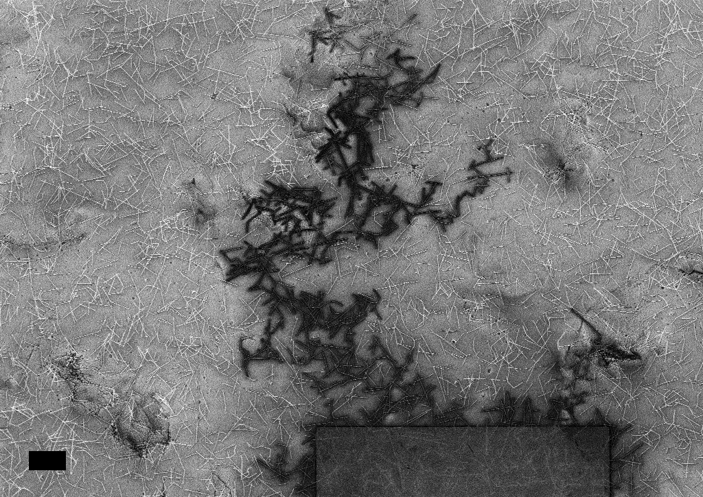 Nanomaterials can be used to create adaptable electronics