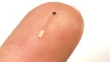 Microscale brain sensor on a finger